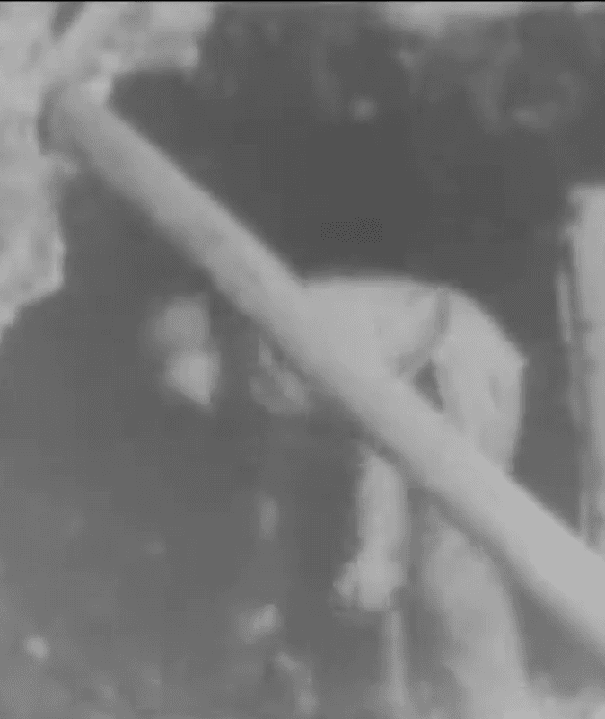 Dangerous and Safe Practices in Bituminous Coal Mining